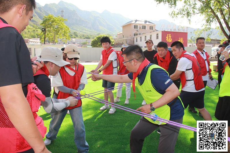 1775527843287768.jpg 66634.jpg