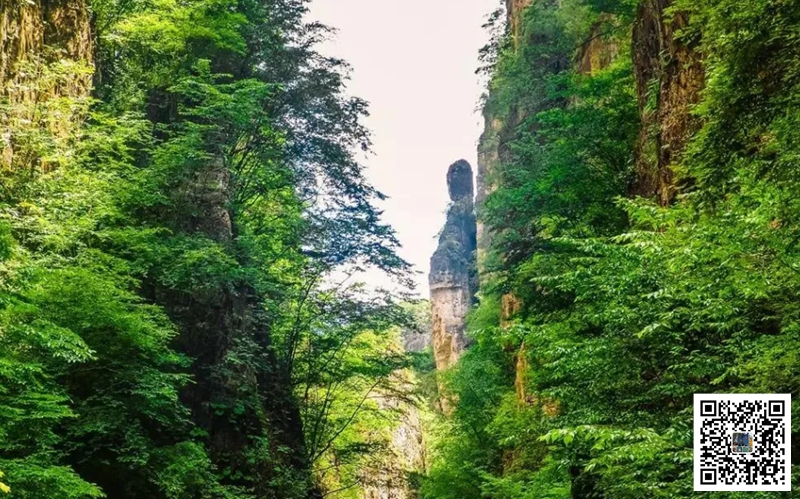 1775534185368039.jpg <a href='https://www.bingzhe.com.cn/tuanjian' target='_blank'><u>野三坡团建</u></a> (76).jpg